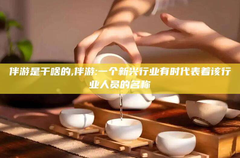 安溪伴游是干啥的,伴游:一个新兴行业有时代表着该行业人员的名称